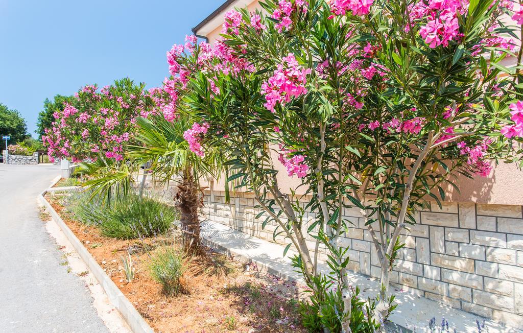 Apartmani Luka Kornić Exteriér fotografie